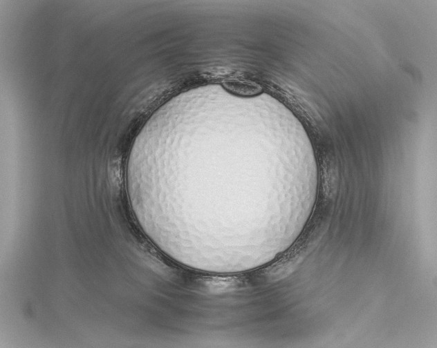 X0000115740085200912031436