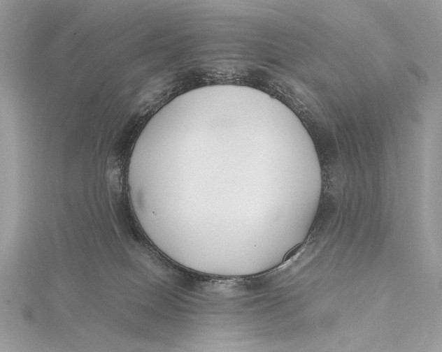 X0000115740086200912031436