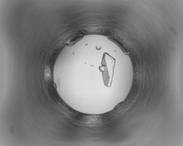 X0000115740089200912031436