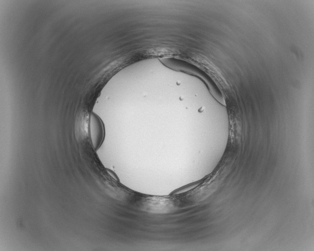 X0000115740095200912031436