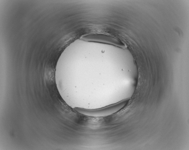 X0000115740096200912031436