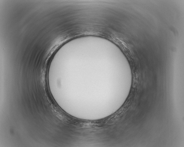 X0000115740098200912031436