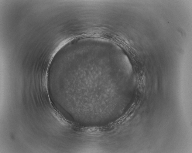 X0000115740100200912031436