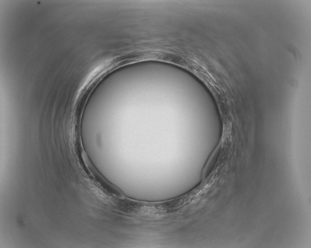 X0000115740101200912031436