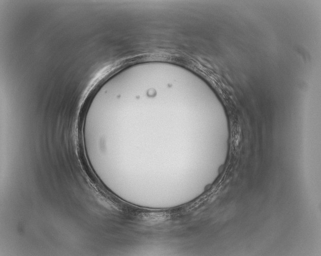 X0000115740102200912031436