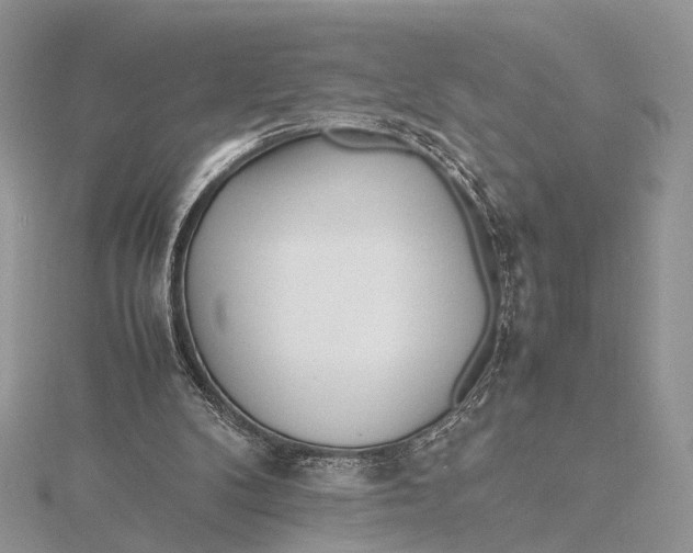 X0000115740104200912031436