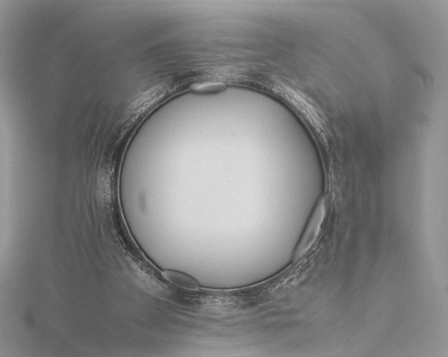 X0000115740105200912031436