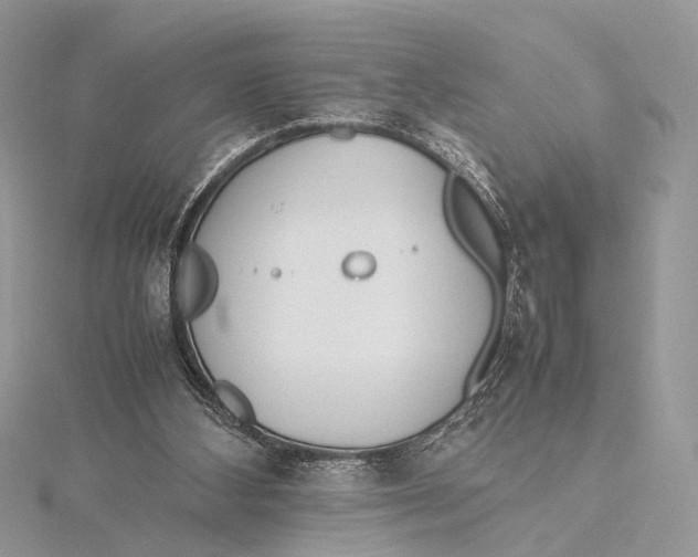 X0000115740108200912031436