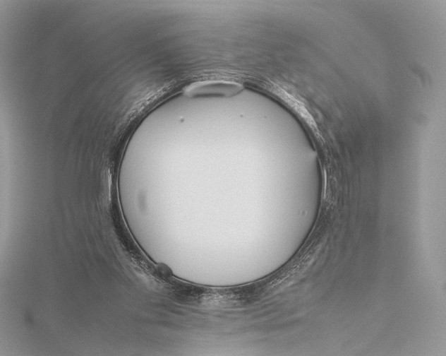 X0000115740109200912031436