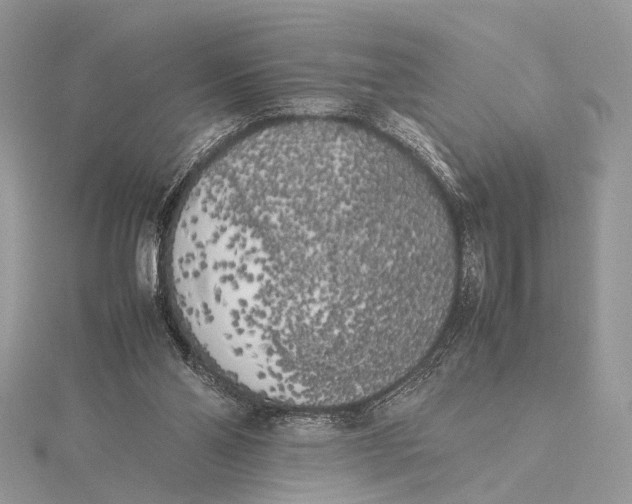 X0000115740110200912031436