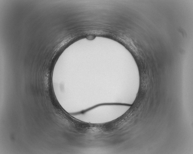 X0000115740111200912031436