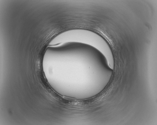 X0000115740117200912031435