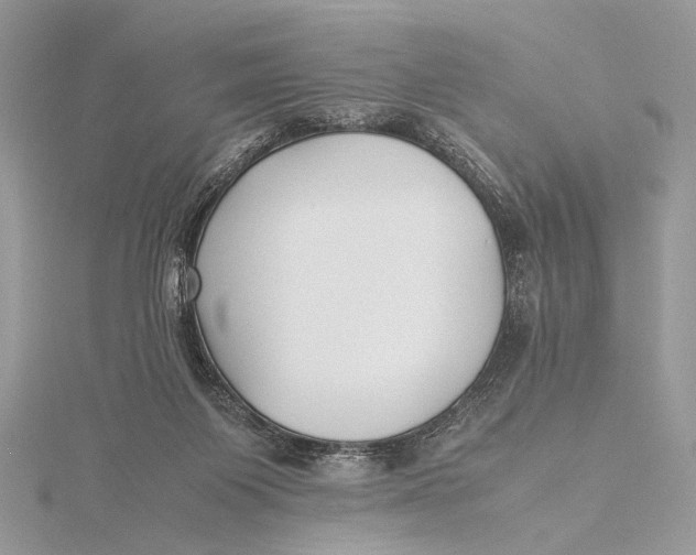 X0000115740119200912031435