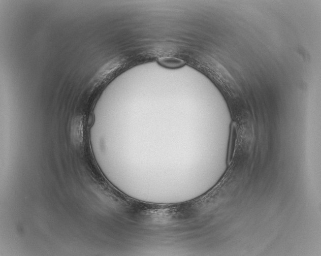 X0000115740120200912031435