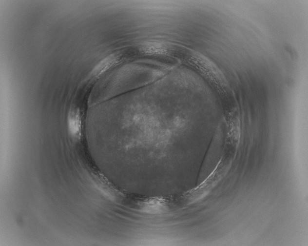 X0000115740124200912031435