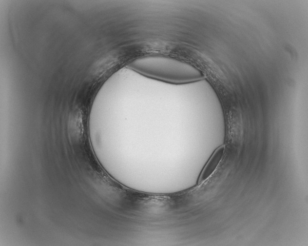 X0000115740128200912031435