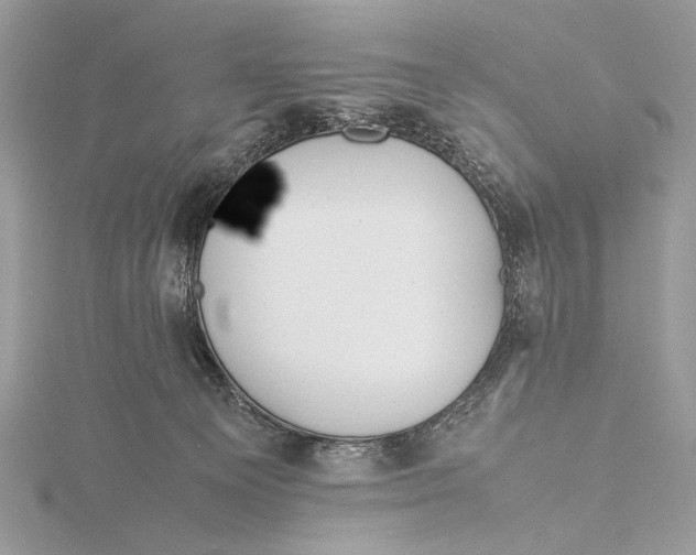 X0000115740129200912031435