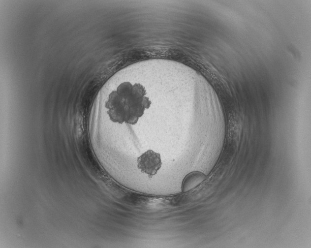 X0000115740130200912031435