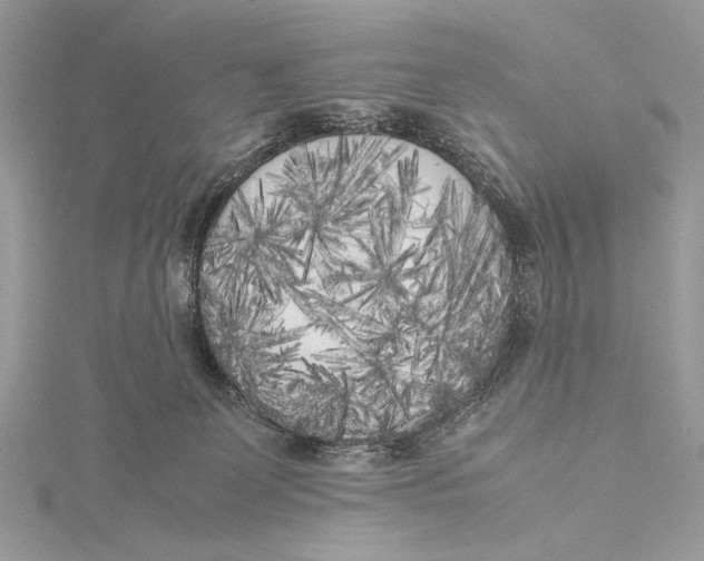 X0000115740131200912031435