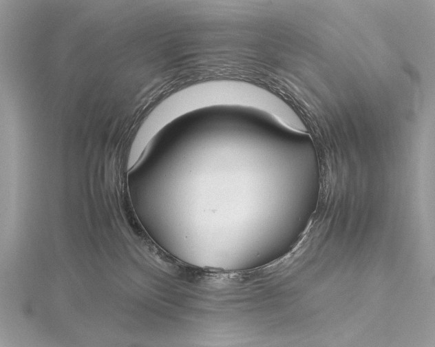 X0000115740136200912031435