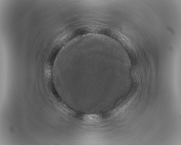 X0000115740137200912031435