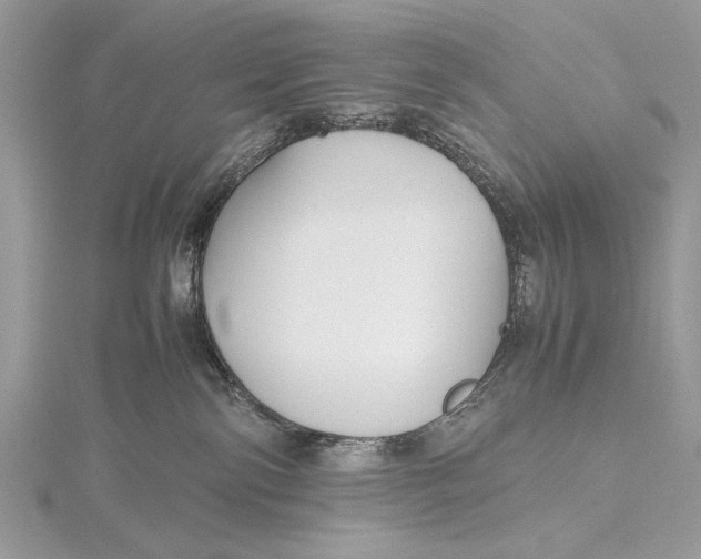 X0000115740138200912031435