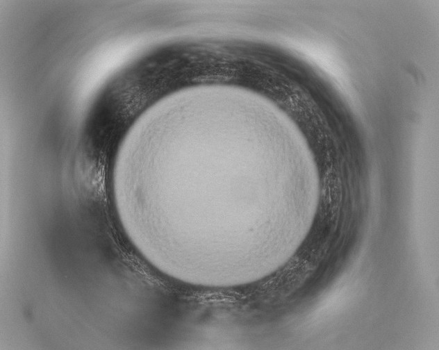 X0000115740146200912031434