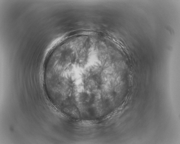 X0000115740149200912031434