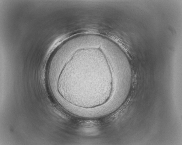 X0000115740151200912031434