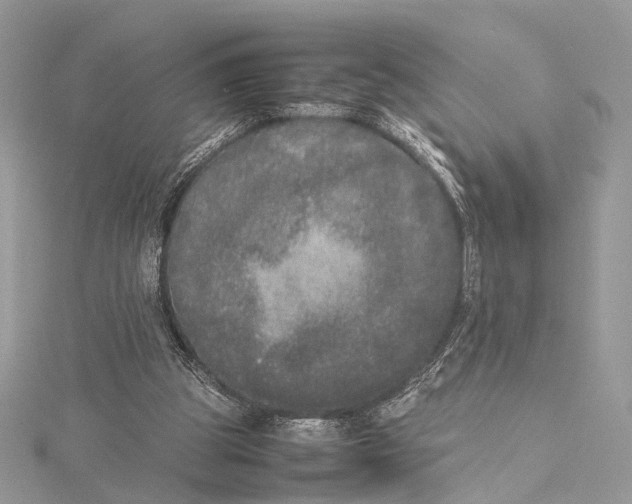 X0000115740153200912031434