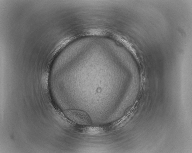 X0000115740154200912031434