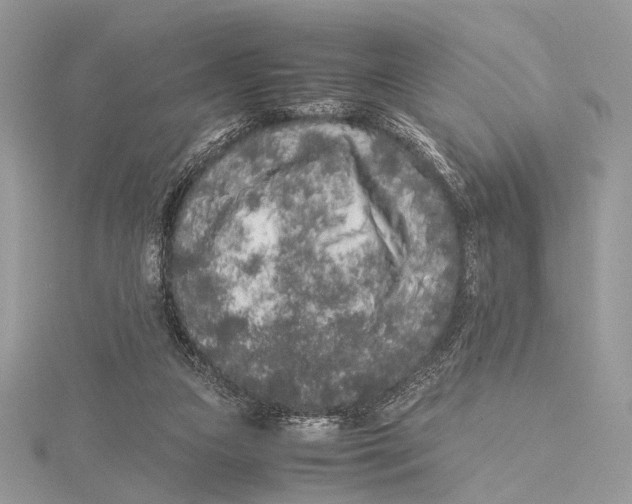 X0000115740161200912031435