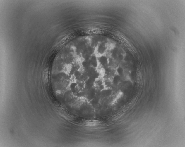 X0000115740169200912031435