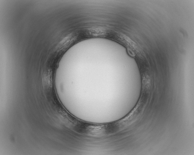 X0000115740170200912031435