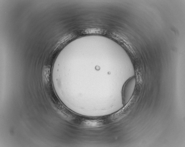 X0000115740171200912031435