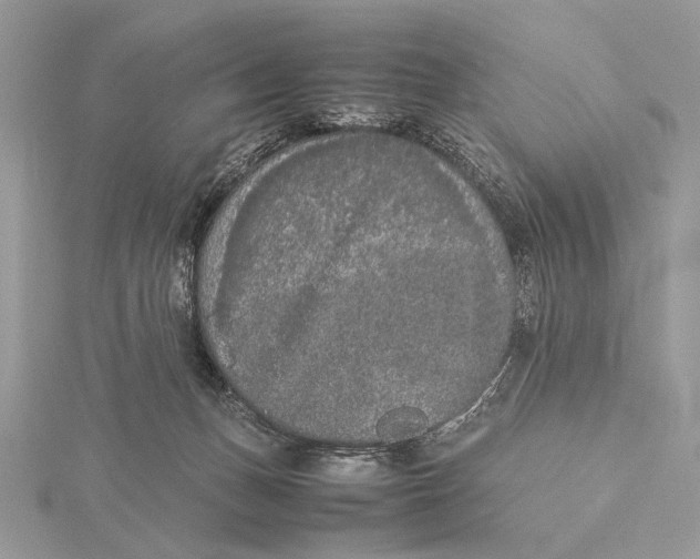 X0000115740175200912031435