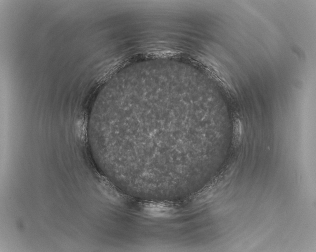 X0000115740177200912031435