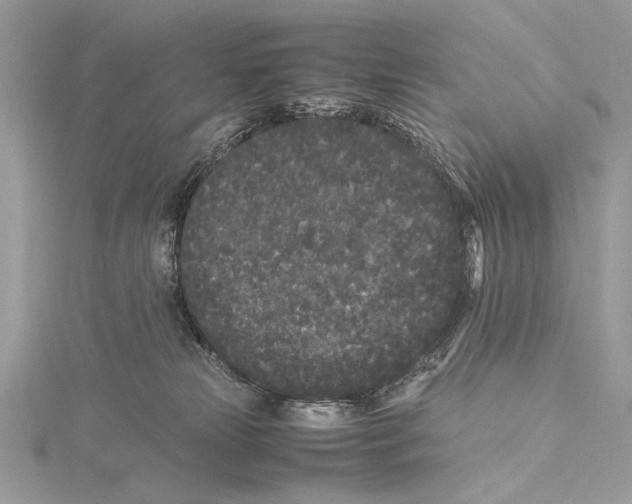 X0000115740181200912031435