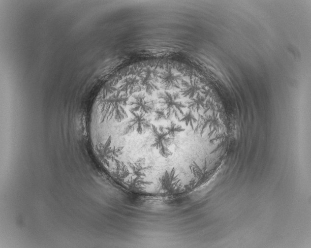 X0000115740182200912031435