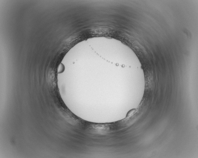 X0000115740187200912031435