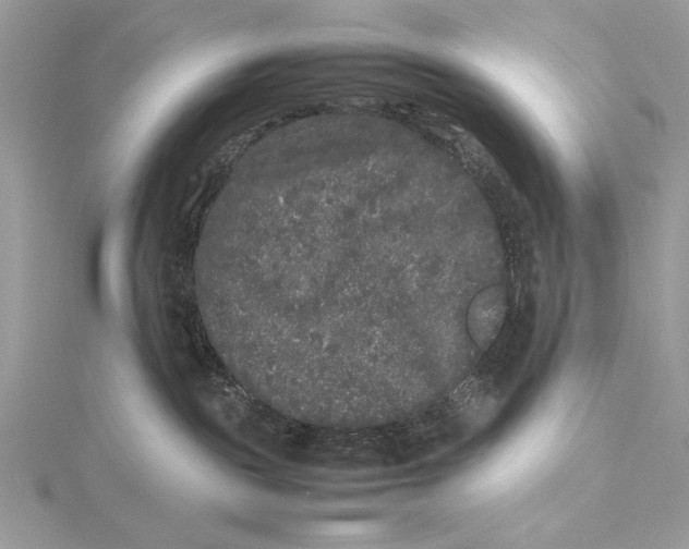 X0000115740189200912031435