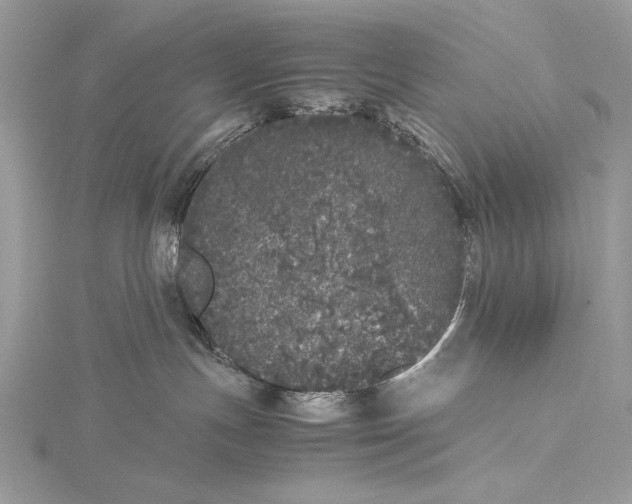 X0000115740191200912031435