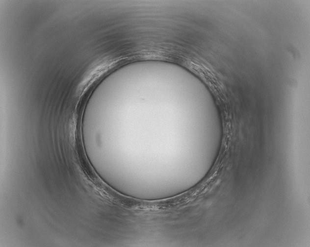 X0000115740194200912031434