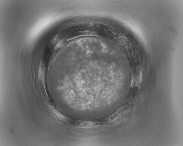 X0000115740195200912031434