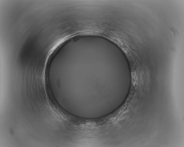 X0000115740196200912031434