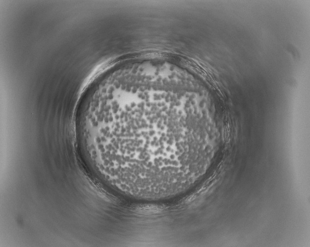 X0000115740198200912031434