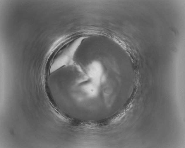 X0000115740199200912031434