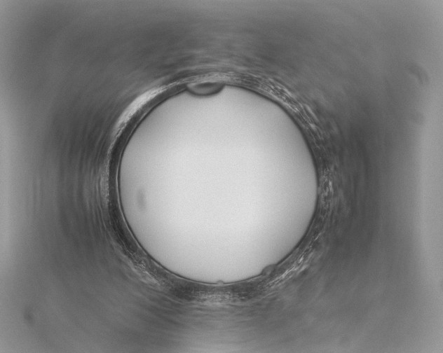 X0000115740200200912031434