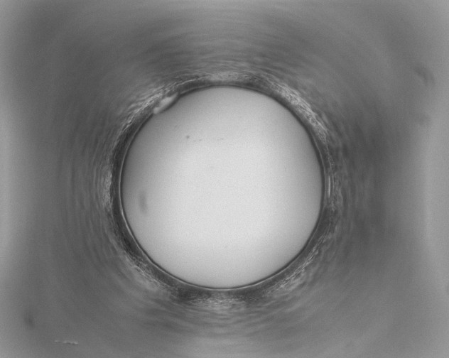 X0000115740201200912031434