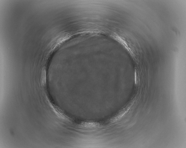 X0000115740205200912031434